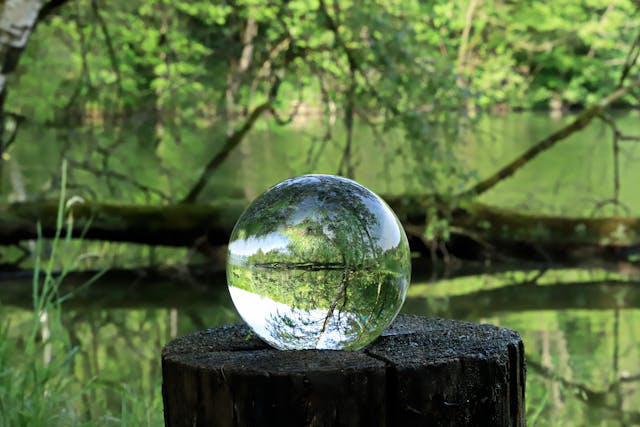 Sustainability